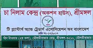 শ্রীমঙ্গলে চতুর্থ নিলামে চা বিক্রি কমেছে